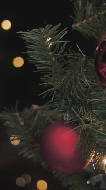 The spheres of a Christmas tree.