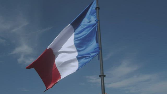 French flag being waved.