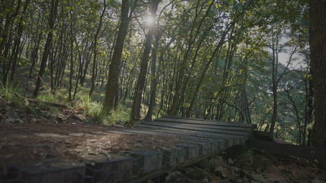 Two mountain bikers jumping off ramps in a forest.