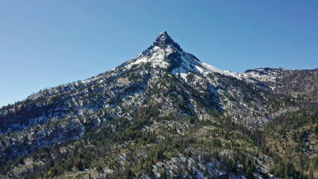 A snow-capped mountain peak densely covered with trees on its slopes under a clear blue sky.