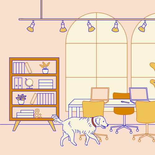 Desks in a cool co-working space with an office dog and a bicycle